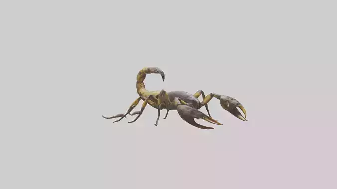 Scorpion walking model 3D model