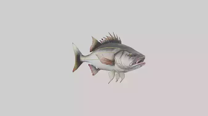 Sea Bass darting model