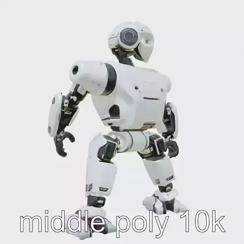 Advanced Humanoid Robot with Articulated Joints