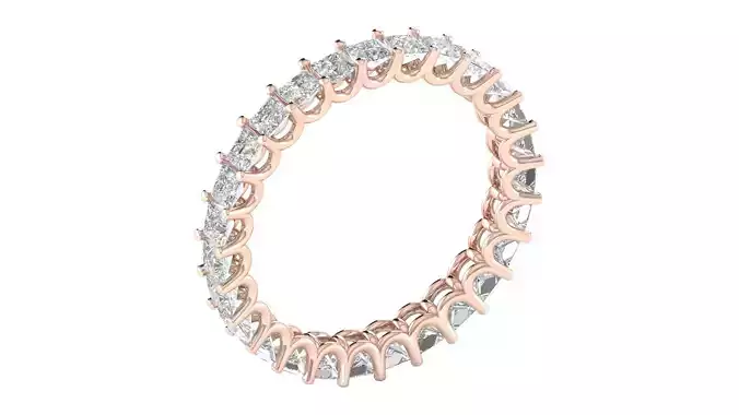 Women Ring  Render 3dm STL OBJ FBX Details