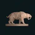 Sabre tooth tiger smilodon standing stl 3D print model_2