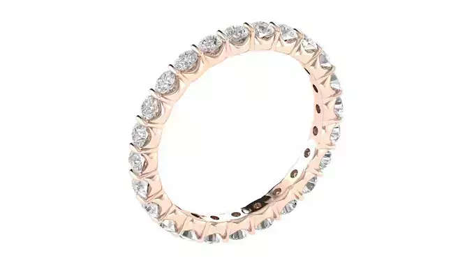 Women Ring  Render 3dm STL OBJ FBX TXT Details