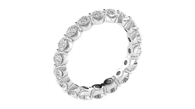 Women Ring  Render 3dm STL OBJ FBX TXT Details