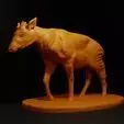 Okapi Standing STL Giraffe relative 3D print model