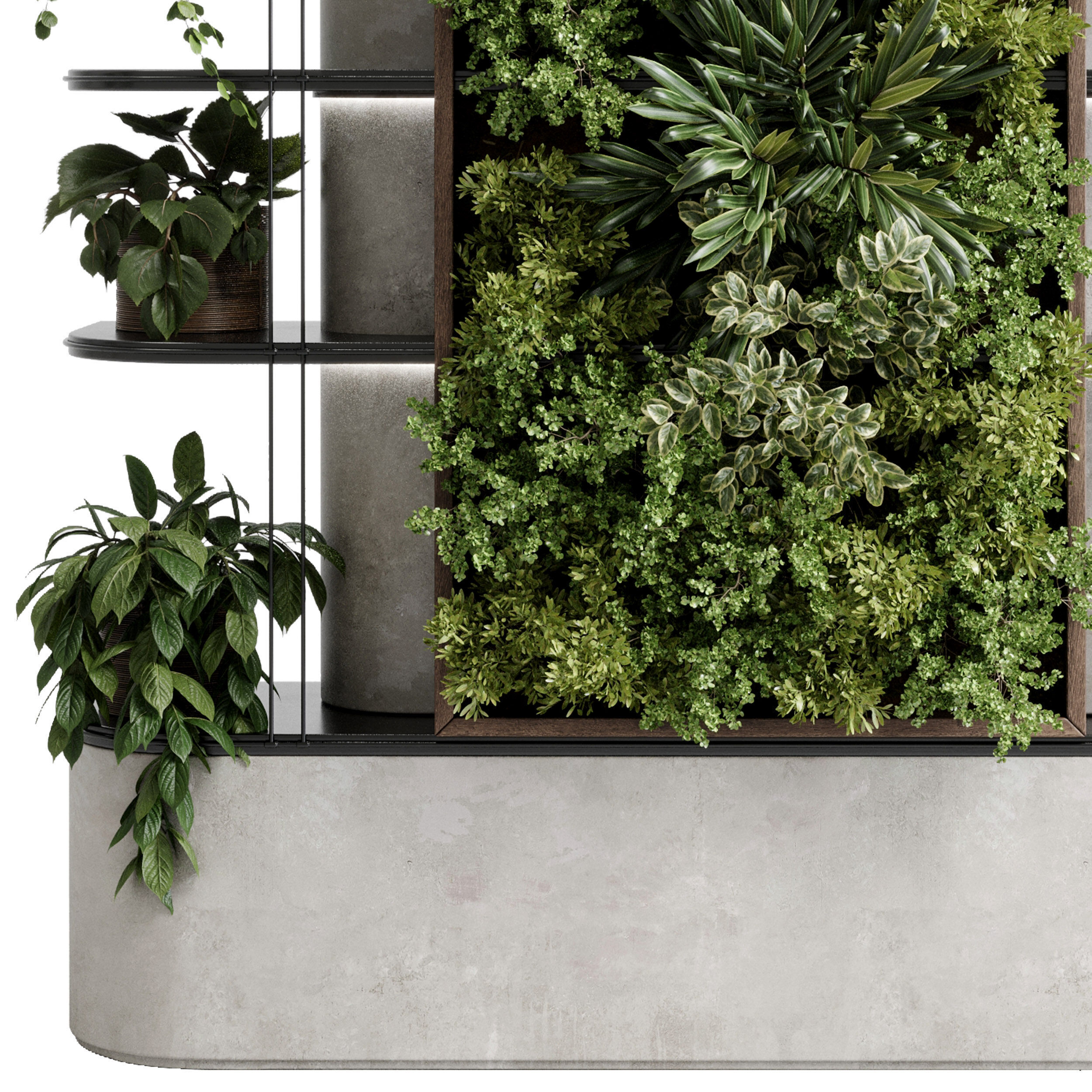 Plants set partition - Vertical Garden wall plant 105 3D model_1