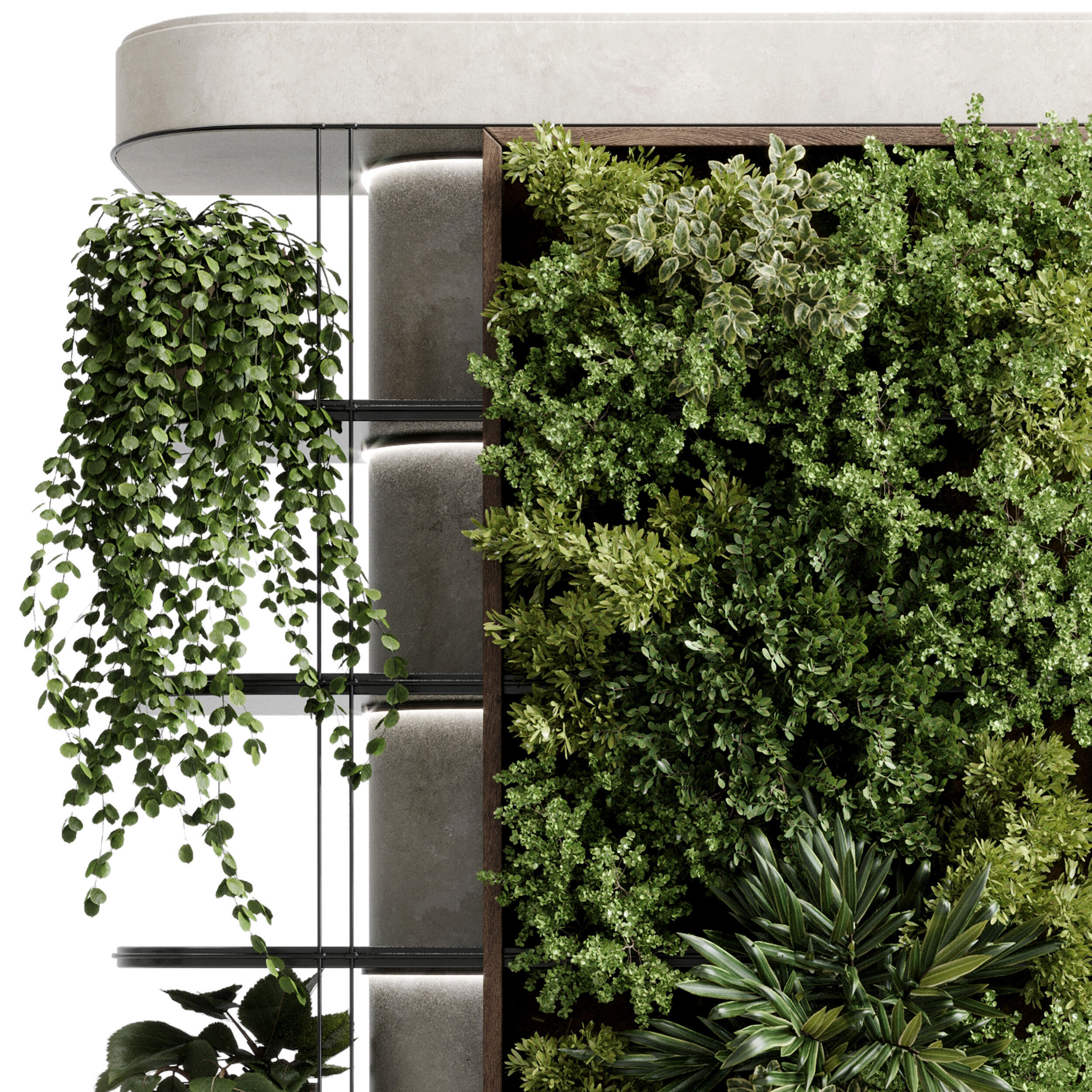 Plants set partition - Vertical Garden wall plant 105 3D model_4