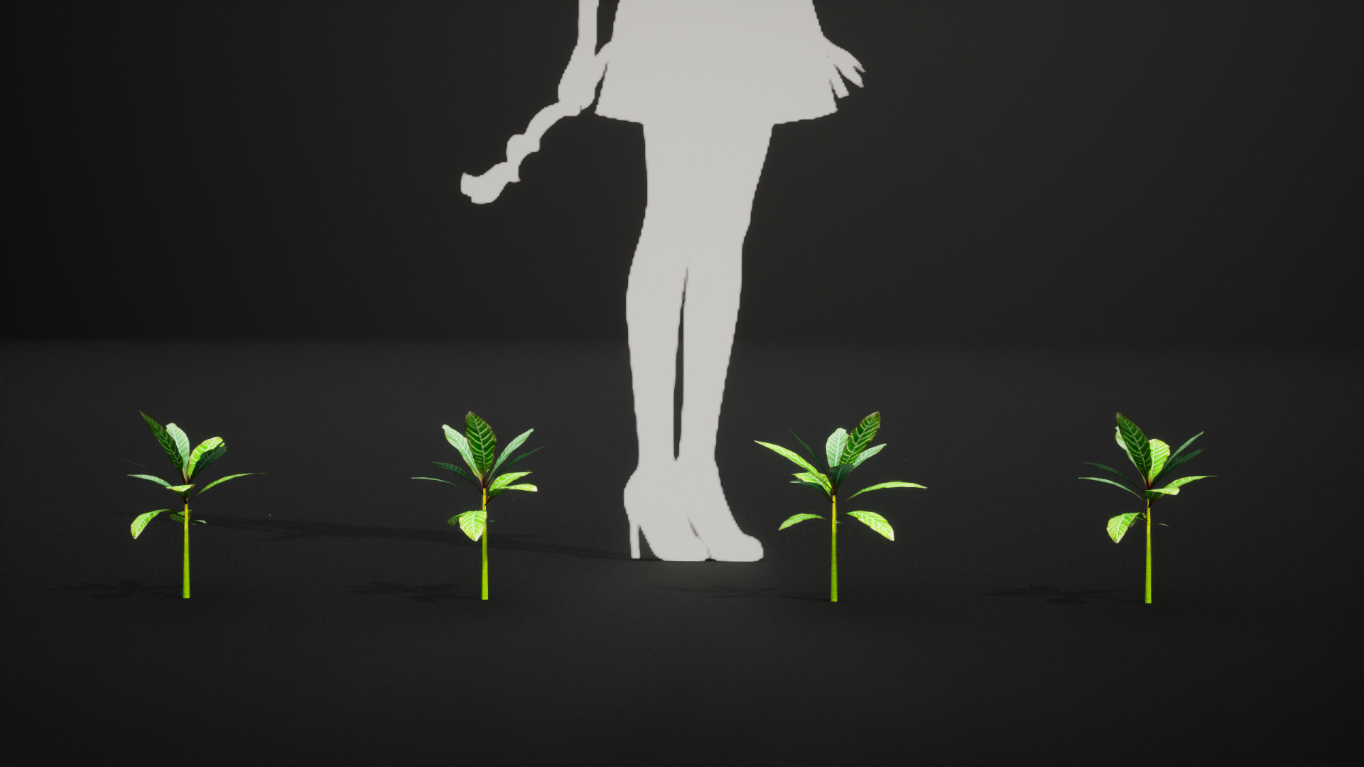 Vulnerable Plant - 6 Euphorbia leuconeura Conifer Tree Low-poly 3D model_5