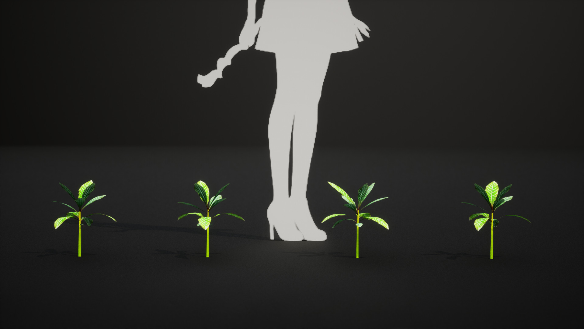 Vulnerable Plant - 6 Euphorbia leuconeura Conifer Tree Low-poly 3D model_4