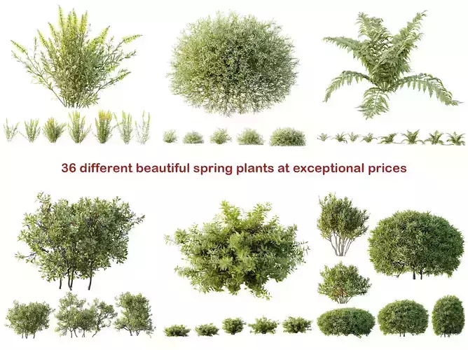 AV 7  Different SETS of  Spring Bushes 3D Model Collection 
