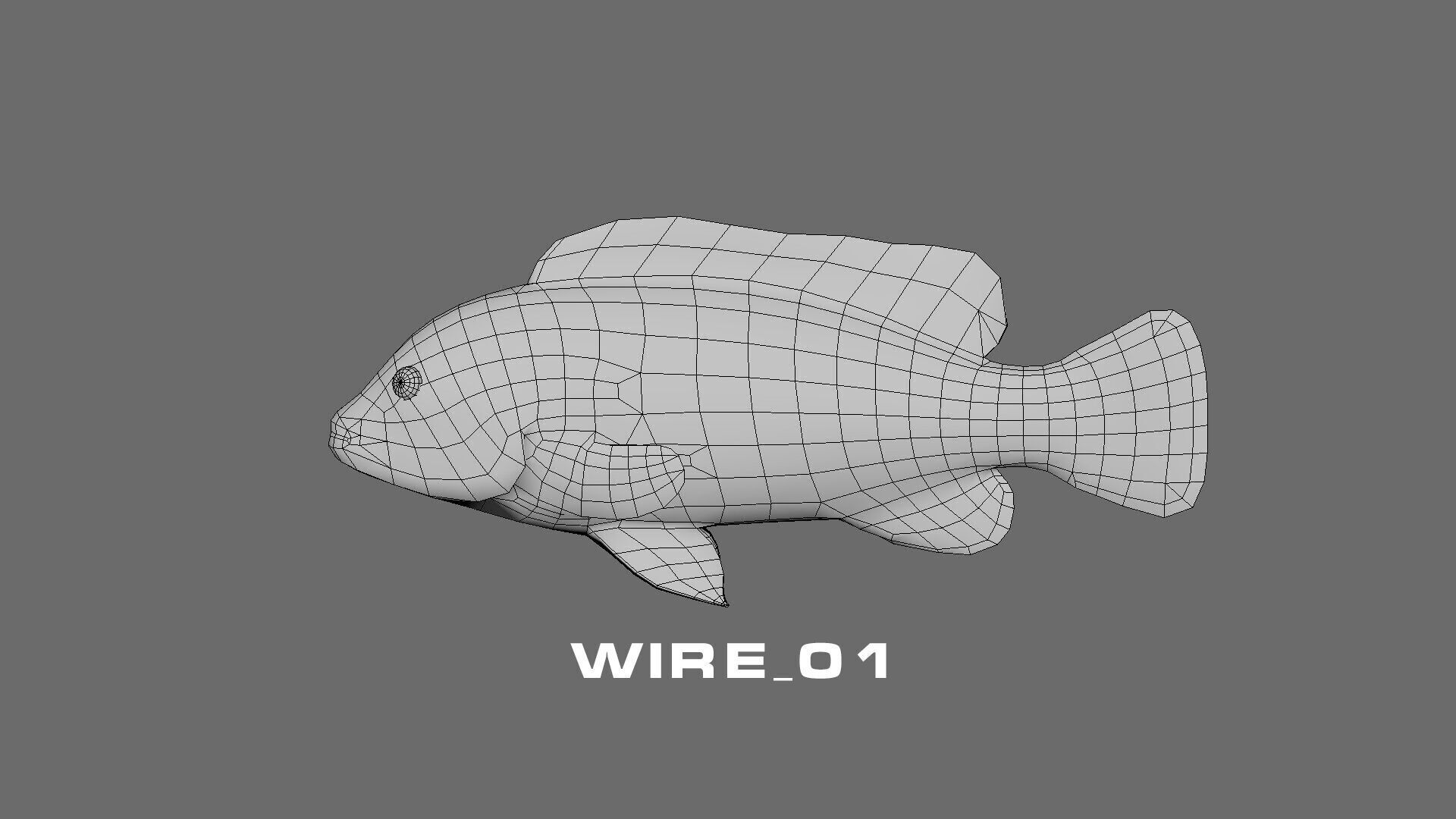 Low-Poly Cichlid Yellow Animated Low-poly 3D model_9