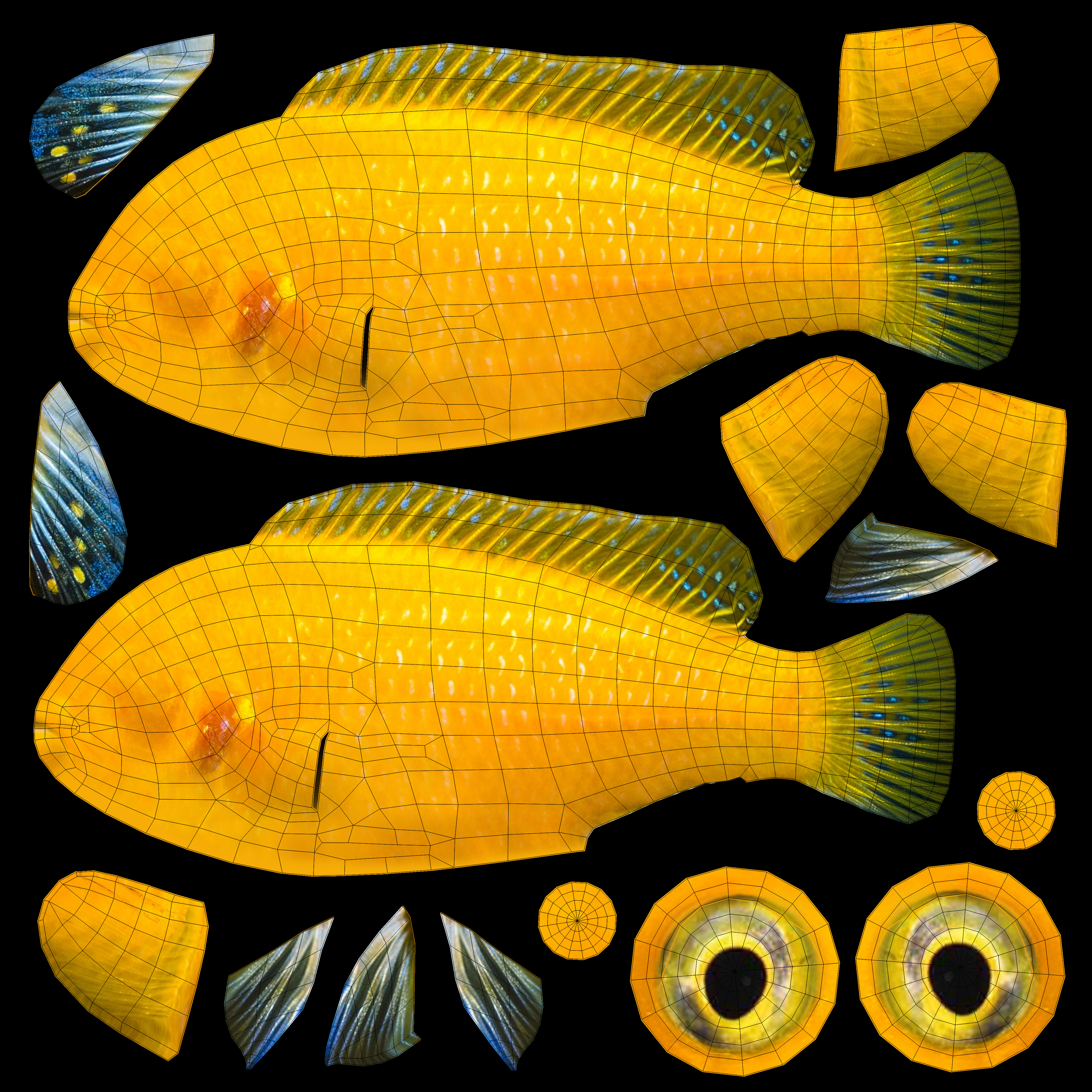Low-Poly Cichlid Yellow Animated Low-poly 3D model_10