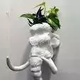 Mammoth head wall mount planter cactus pot flower vase STL