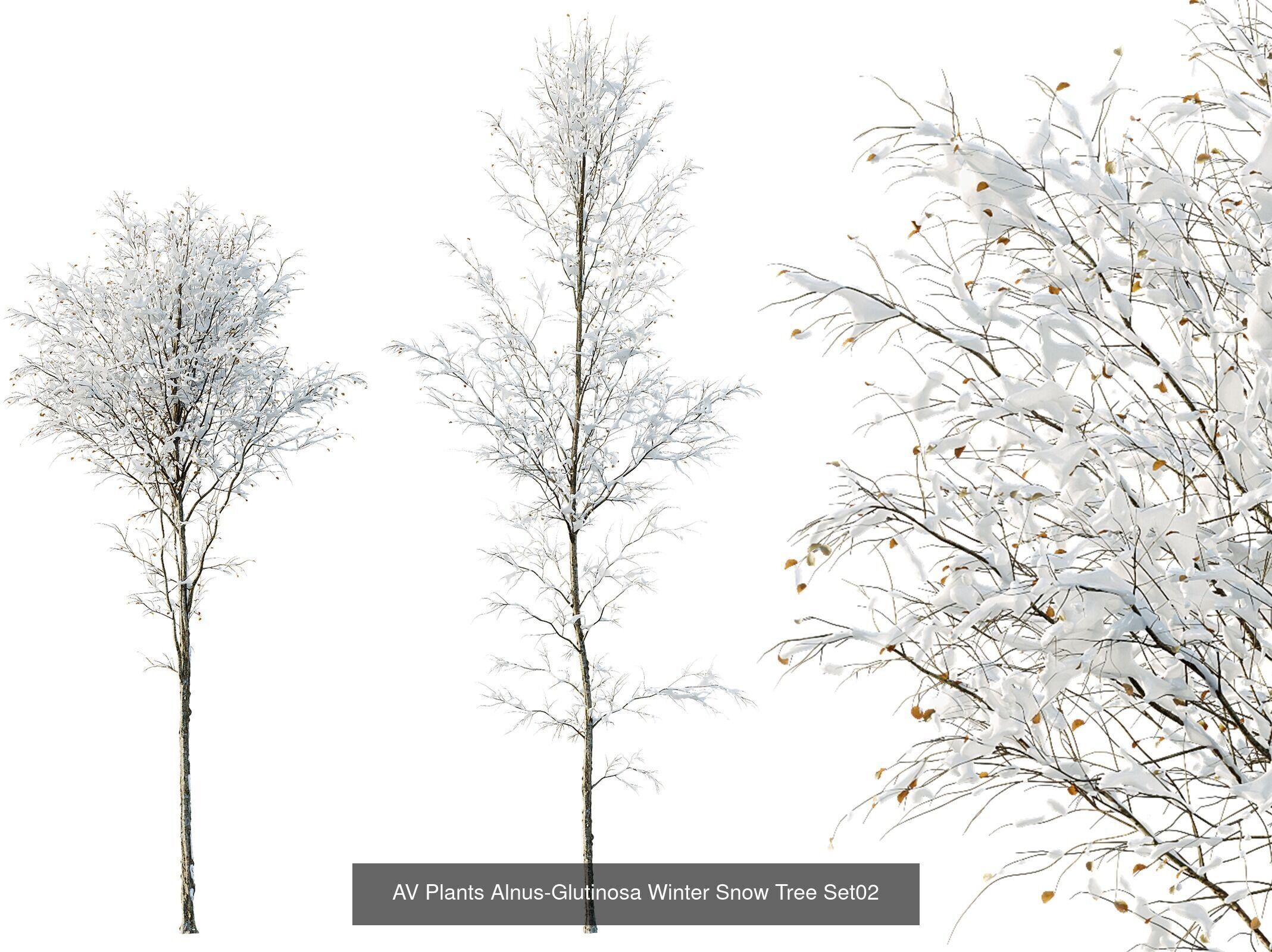 AV 7 Different SETS of Winter snowy Trees 3D Model Collection_2