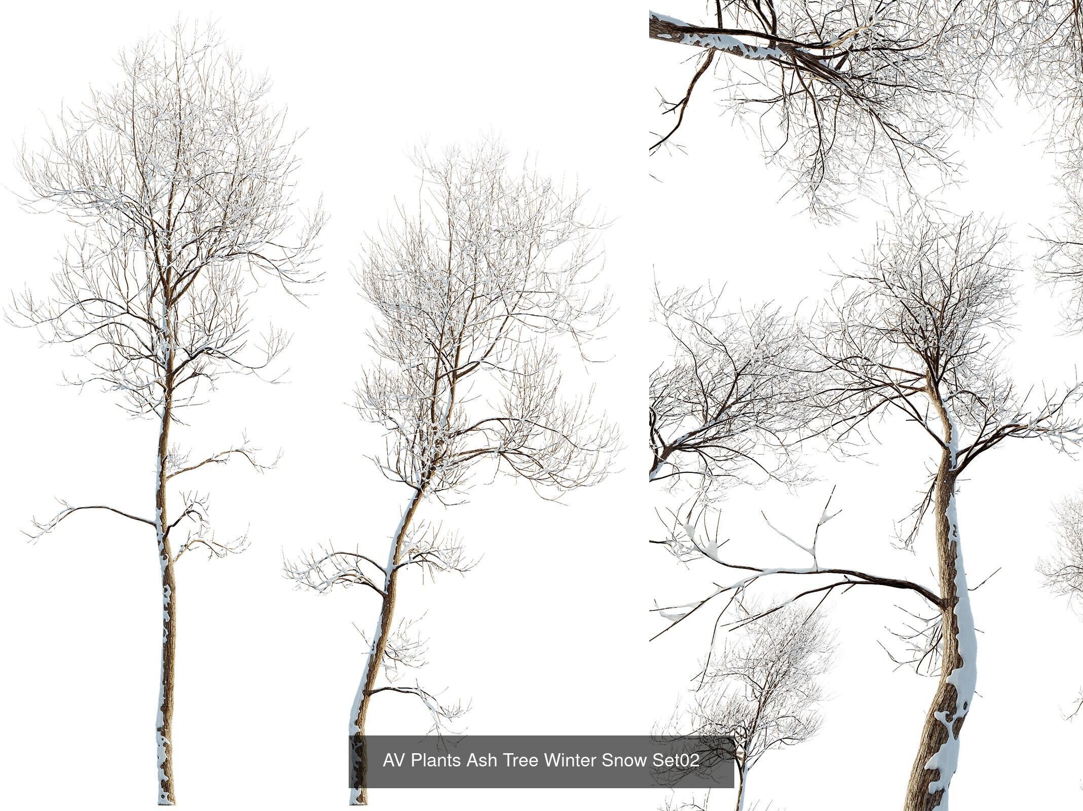 AV 7 Different SETS of Winter snowy Trees 3D Model Collection_6