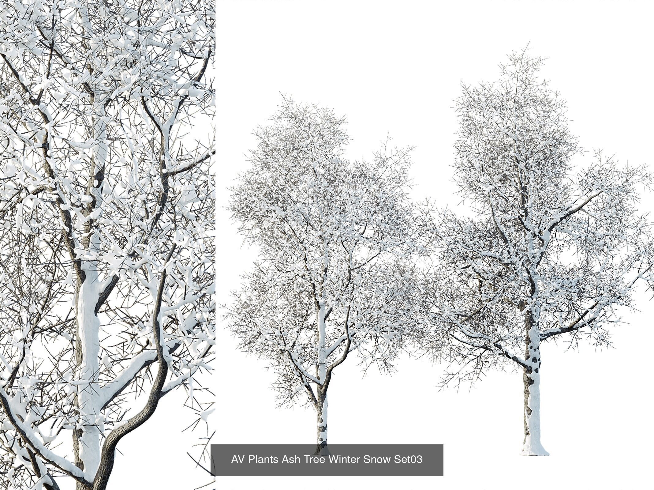AV 7 Different SETS of Winter snowy Trees 3D Model Collection_7