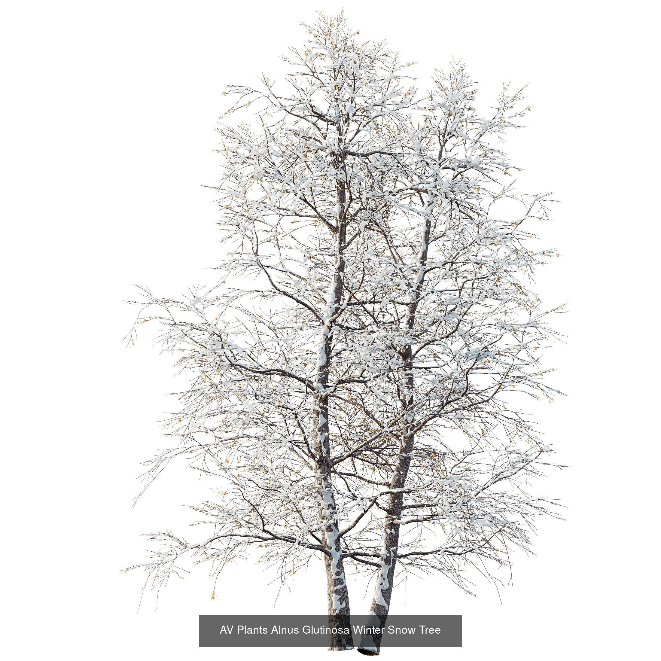 AV 7 Different SETS of Winter snowy Trees 3D Model Collection_3