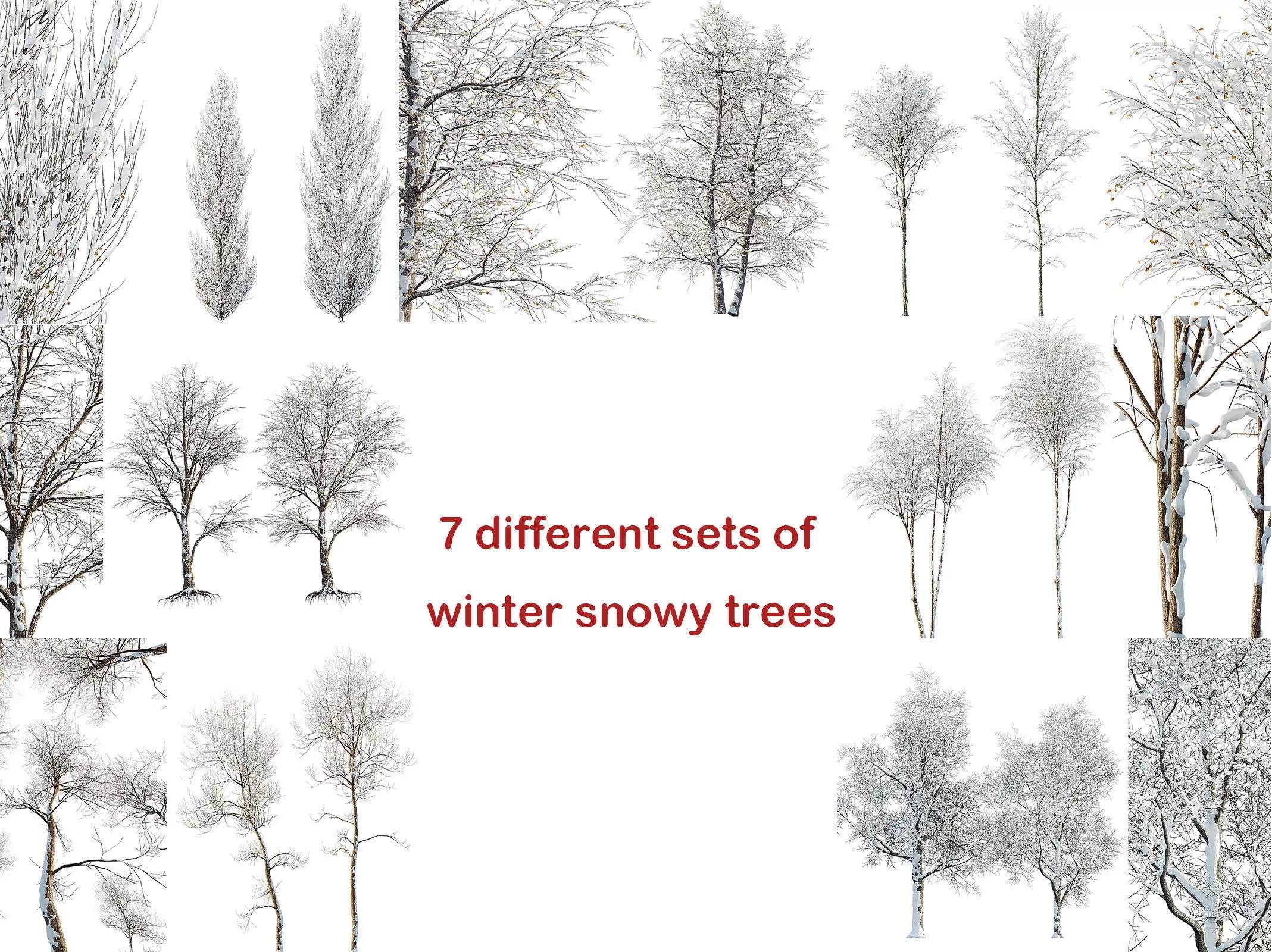 AV 7 Different SETS of Winter snowy Trees 3D Model Collection_0