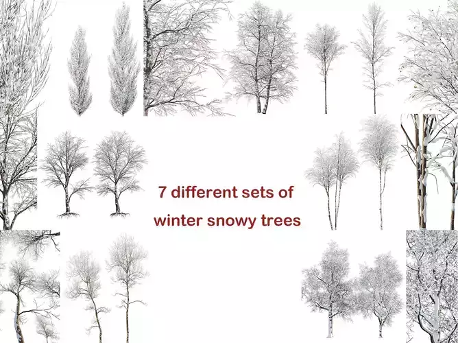 AV 7 Different SETS of Winter snowy Trees 3D Model Collection AV 7 Different SETS of Winter snowy Trees 3D Model Collection