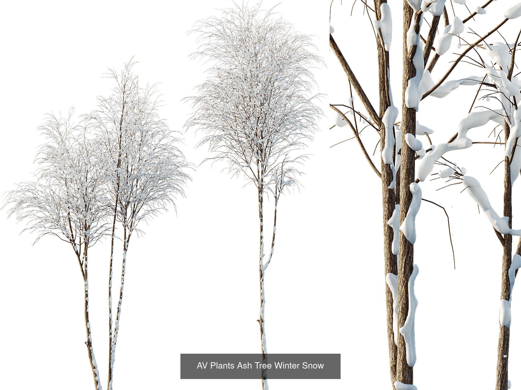 AV 7 Different SETS of Winter snowy Trees 3D Model Collection_5