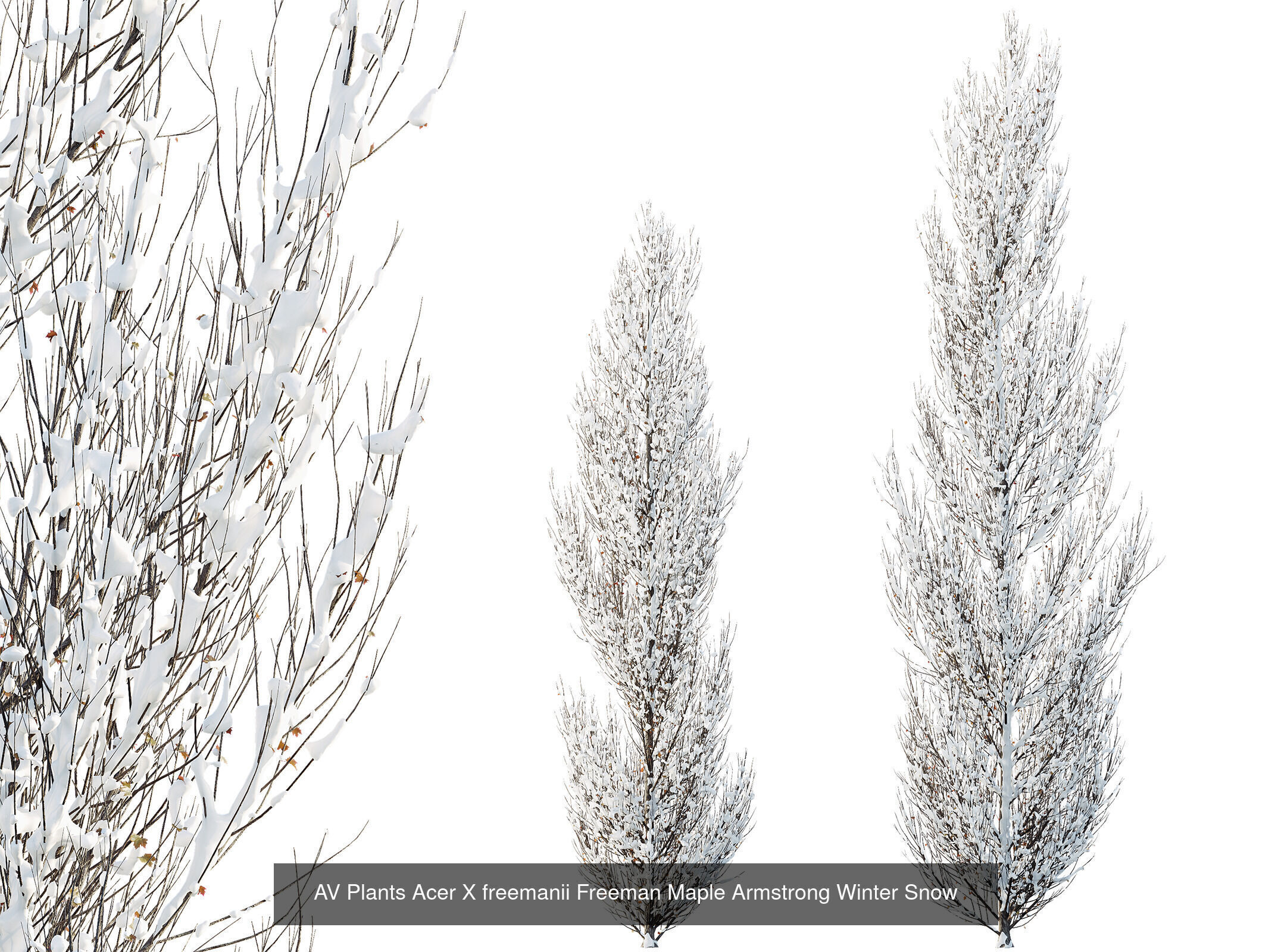 AV 7 Different SETS of Winter snowy Trees 3D Model Collection_1