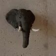 Elephant head wall mount STL 3D print model_2