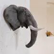 Elephant head wall mount STL 3D print model_3