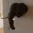 Elephant head wall mount STL 3D print model_1