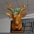 antelope head low poly bust planter STL 3D print model_1