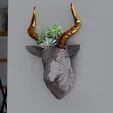 antelope head low poly wall planter  3D print model_1