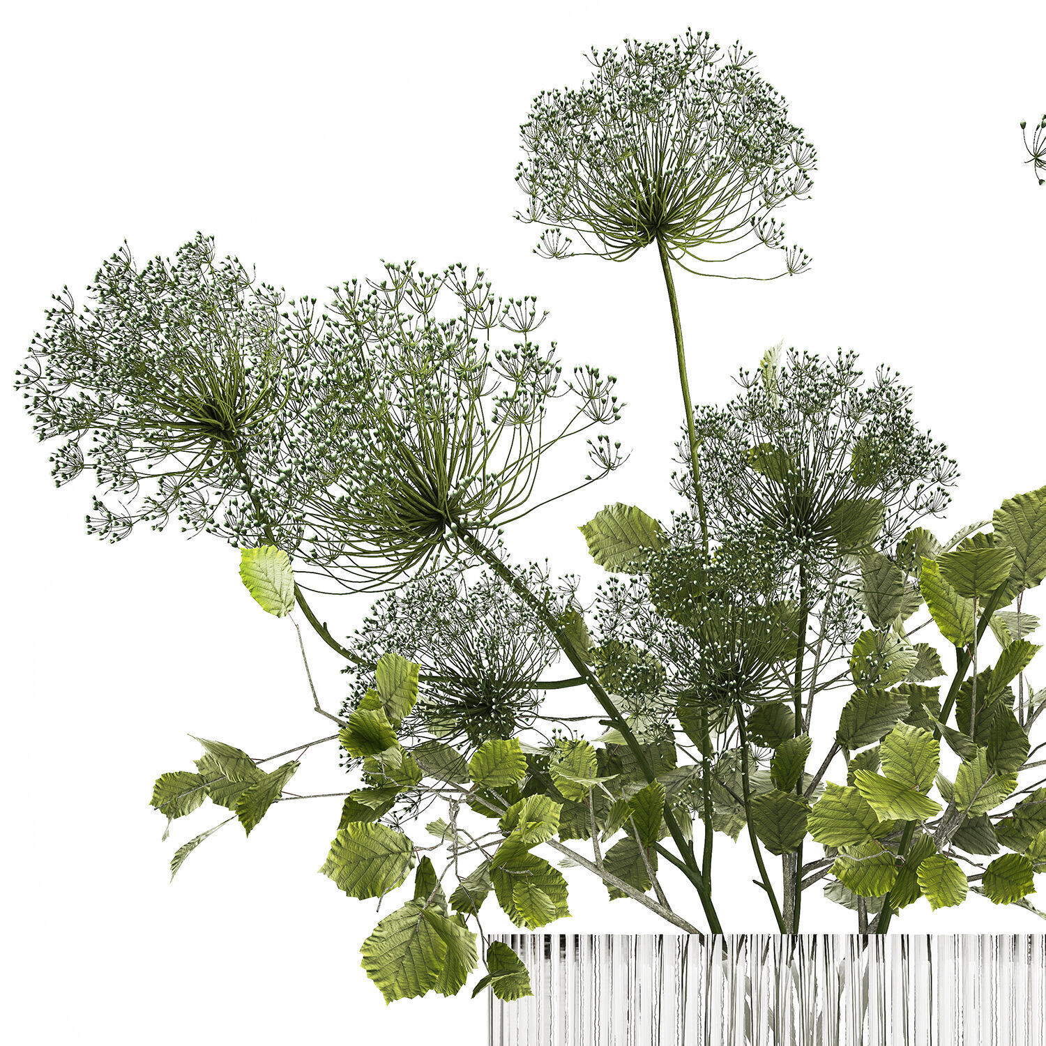 Flower Bouquet Of Green Branches And Hogweed 504 3D model_12
