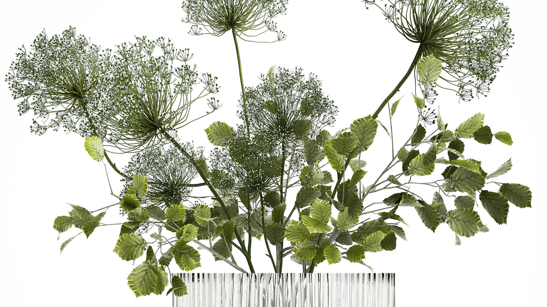 Flower Bouquet Of Green Branches And Hogweed 504 3D model_2