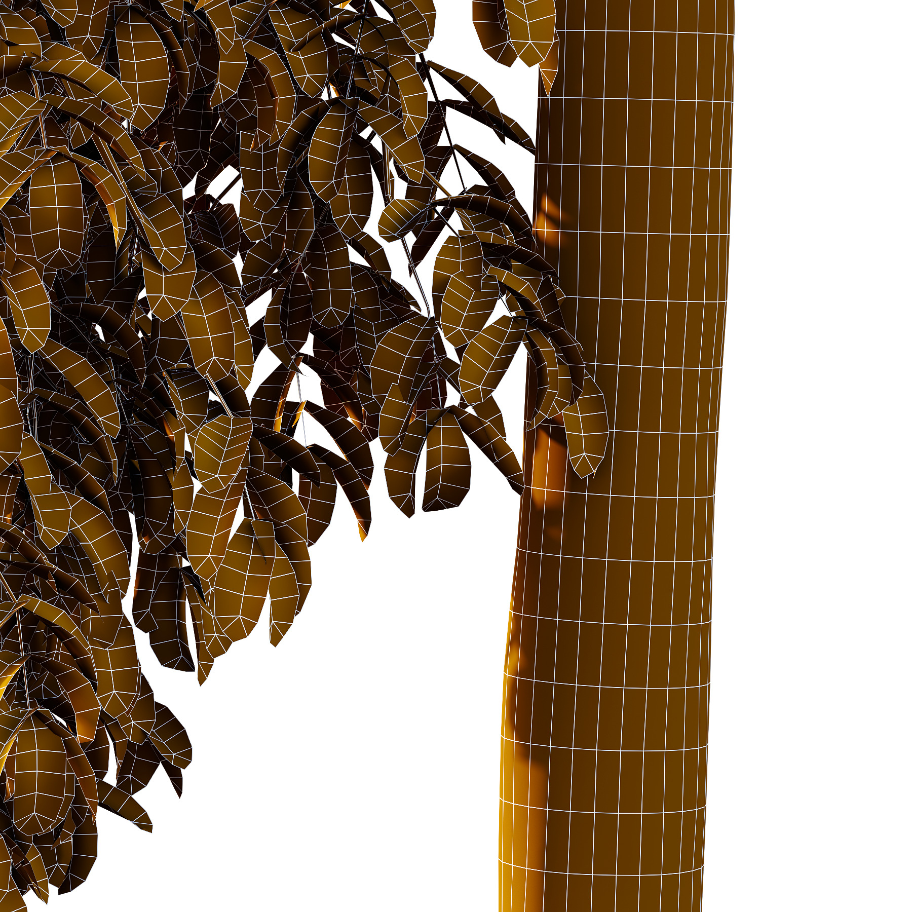 Parashorea Chinensis Tree 01 3D model_3