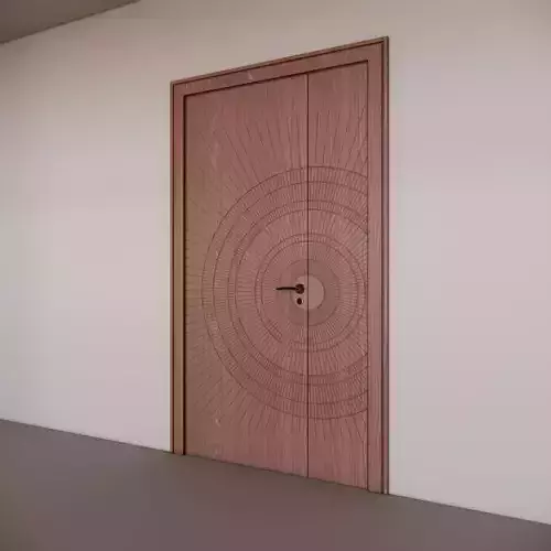 Modern Front Door with Circular Design