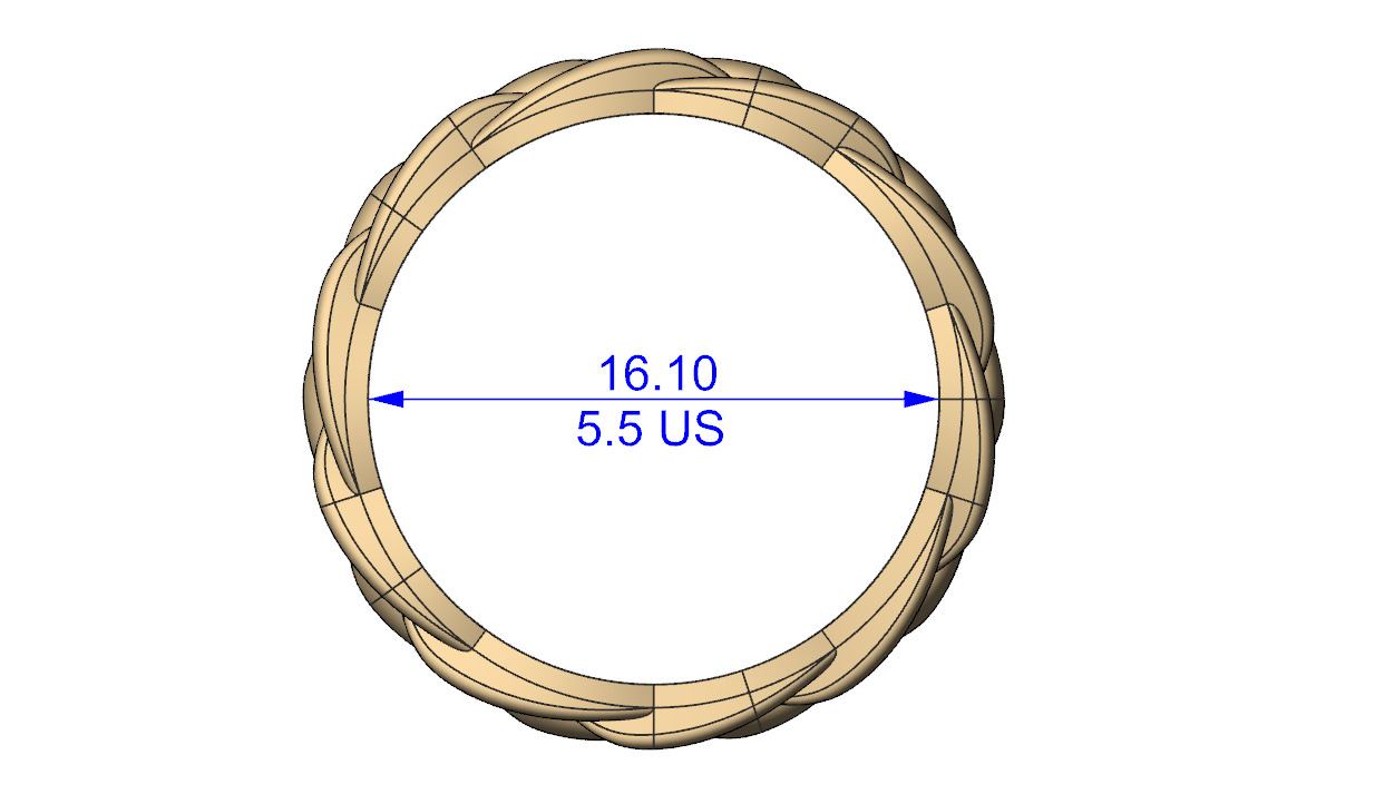 Braided ring 3D print model_5