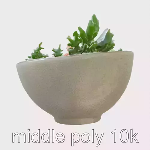Korean Bibimbap Stone Bowl 3D Model Low-poly 3D model
