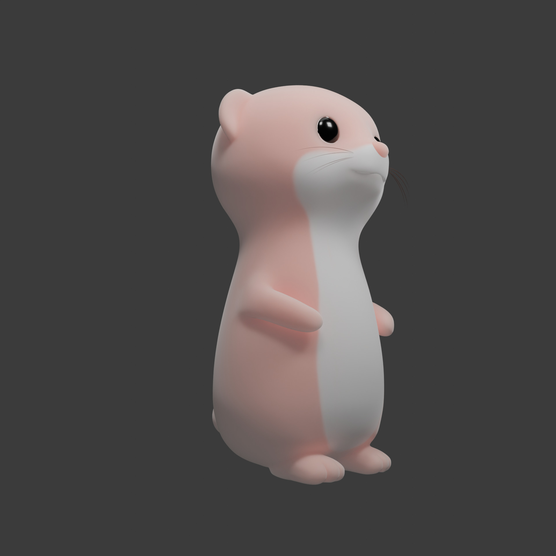 Cute Ferret 3D model_2