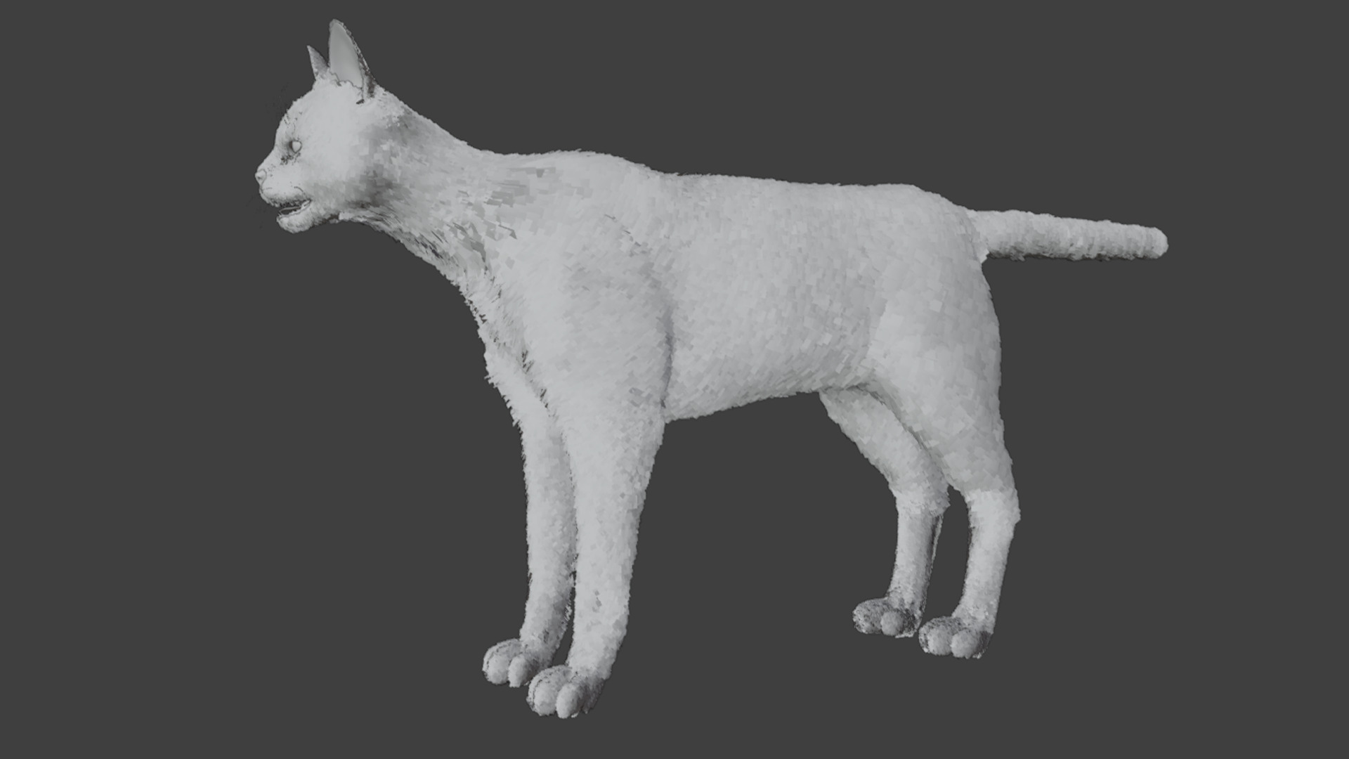 Serval - Cat Realistic Animated 3D model_17