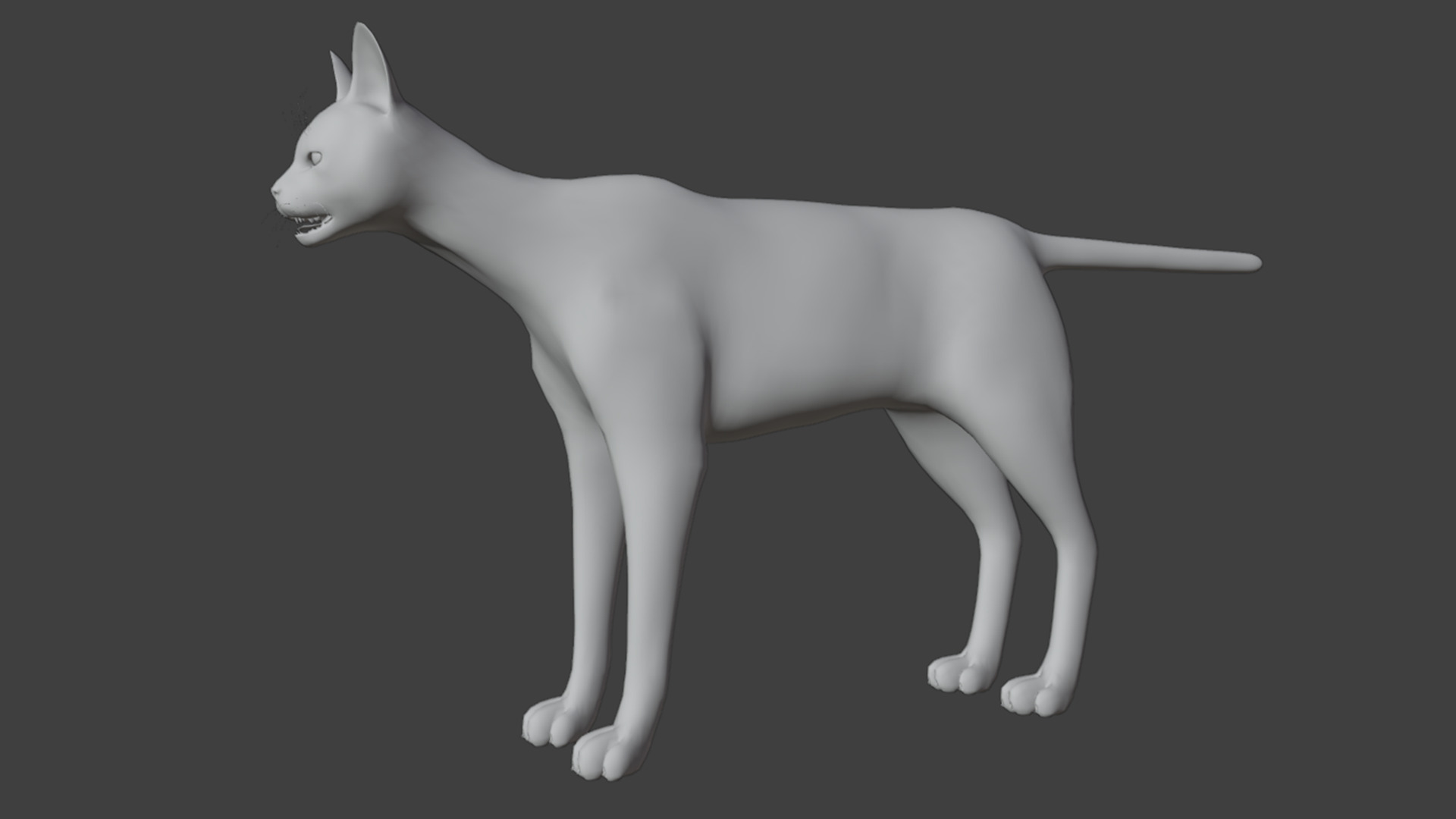 Serval - Cat Realistic Animated 3D model_16