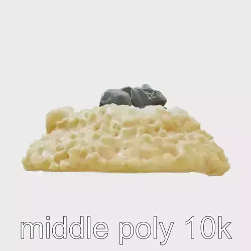 Italian Fine Dining Truffle Risotto Plate with Shaved Truffles Low-poly 3D model