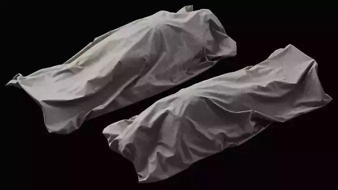 Covered Corpse 05 a 3D model