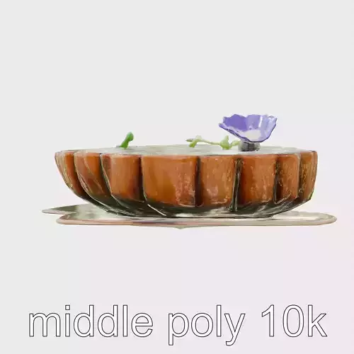 Gourmet Argentinian Wagyu Steak Model with Balsamic Garnish