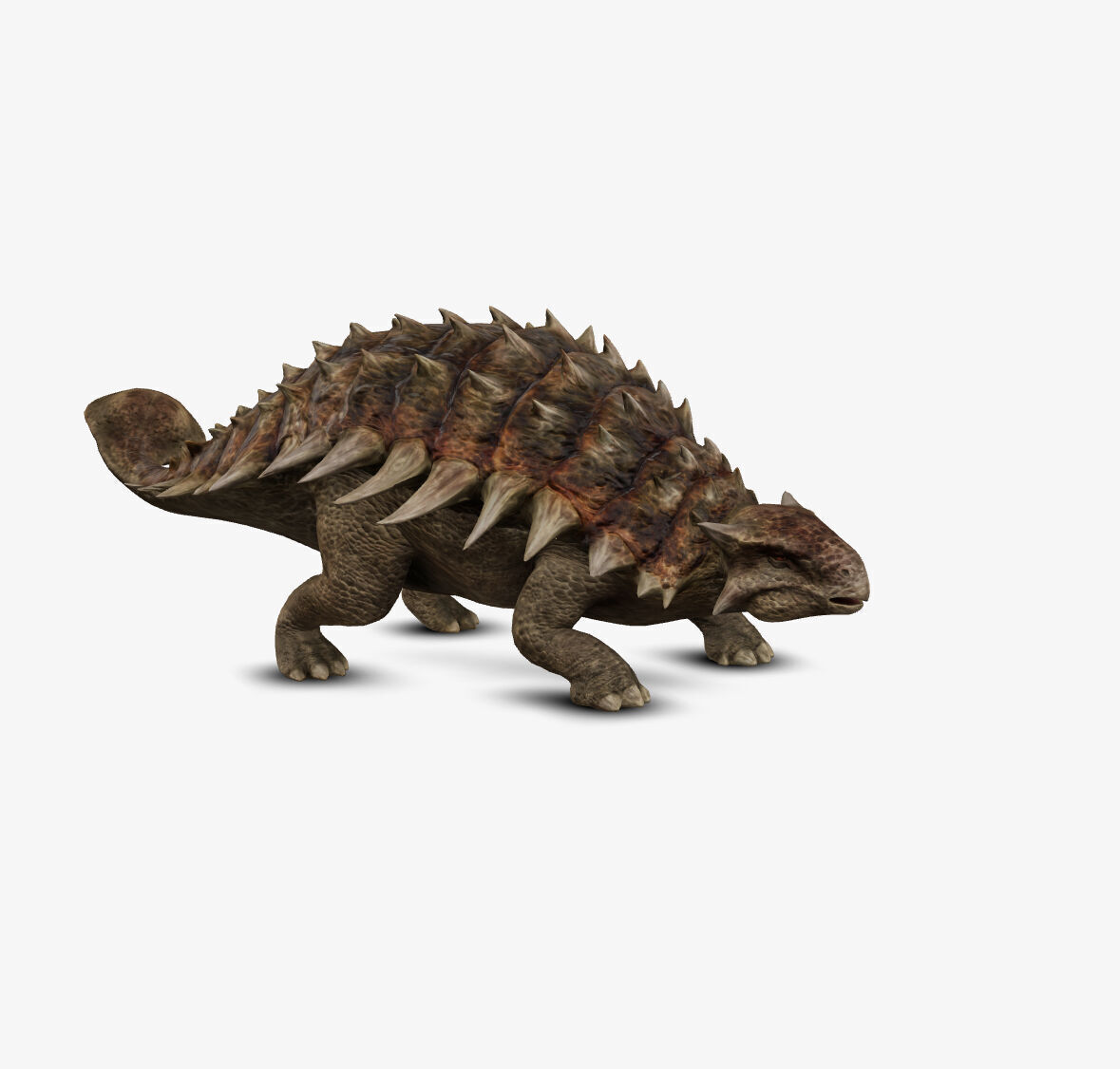 Ankylosaur 3D model_6