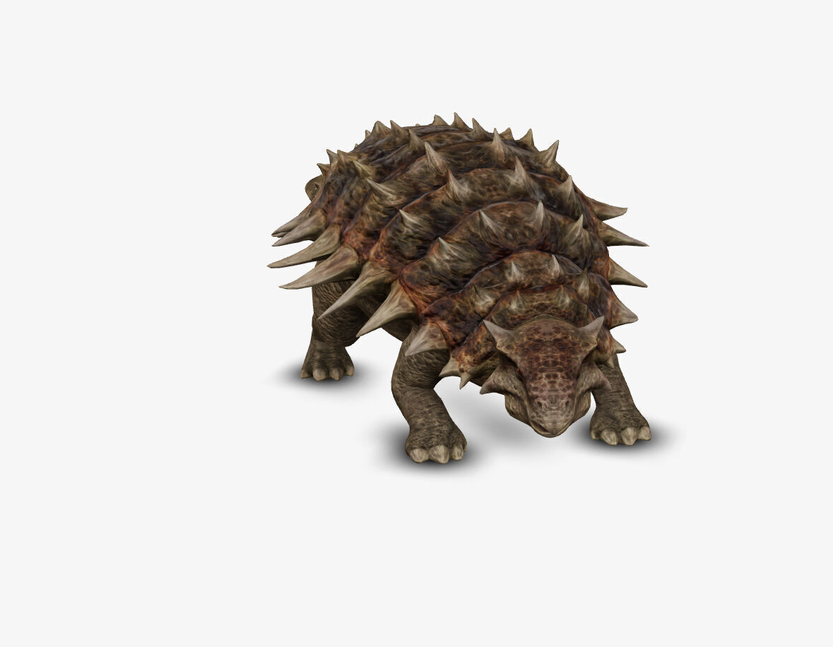 Ankylosaur 3D model_4