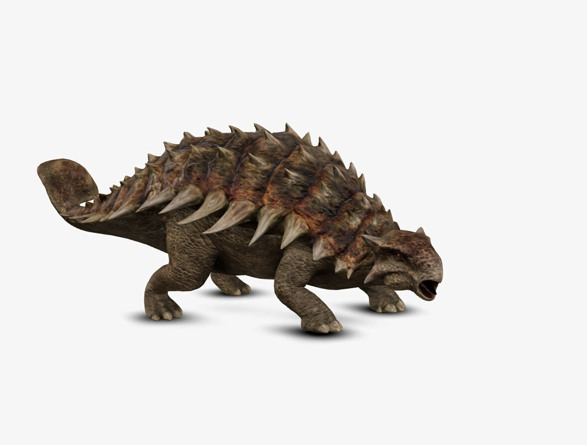 Ankylosaur 3D model_7