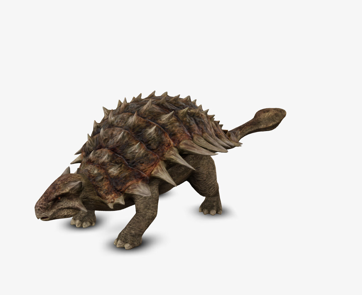 Ankylosaur 3D model_1