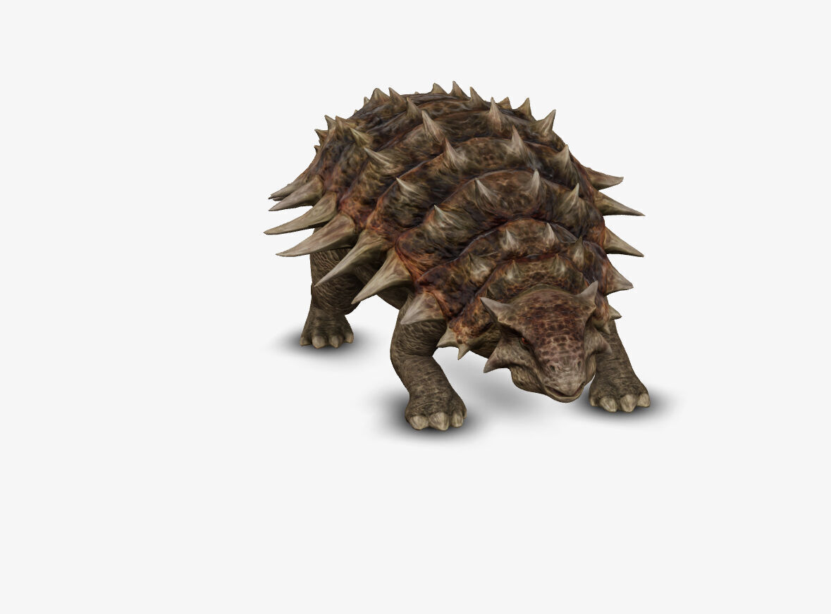 Ankylosaur 3D model_5