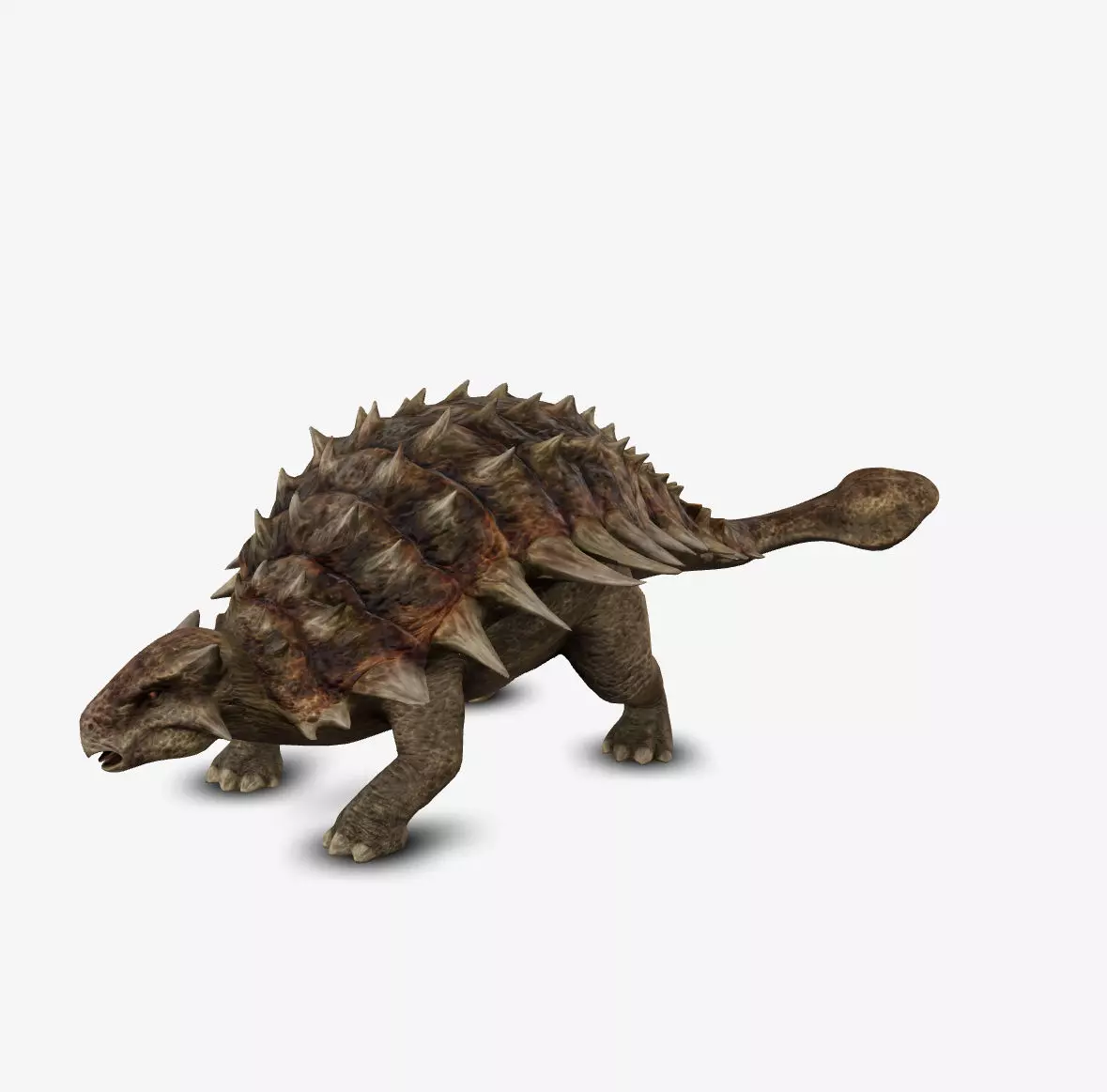 Ankylosaur 3D model_0