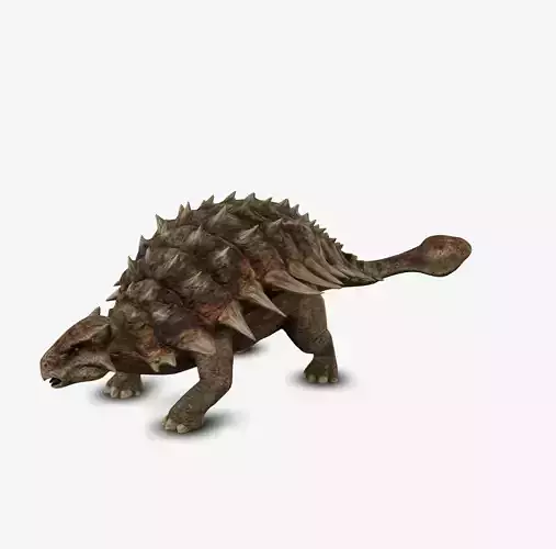 Ankylosaur 3D model