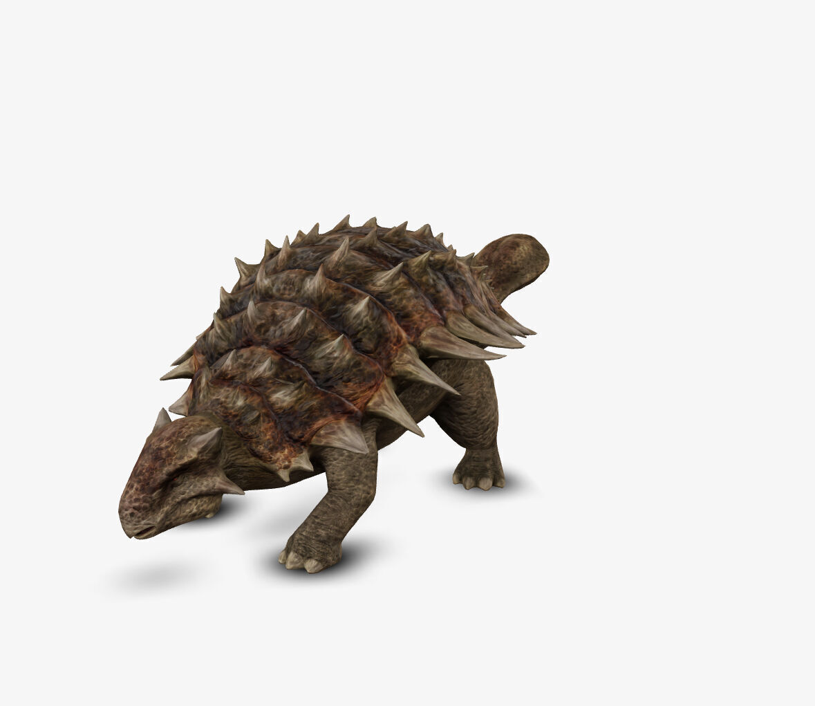 Ankylosaur 3D model_2