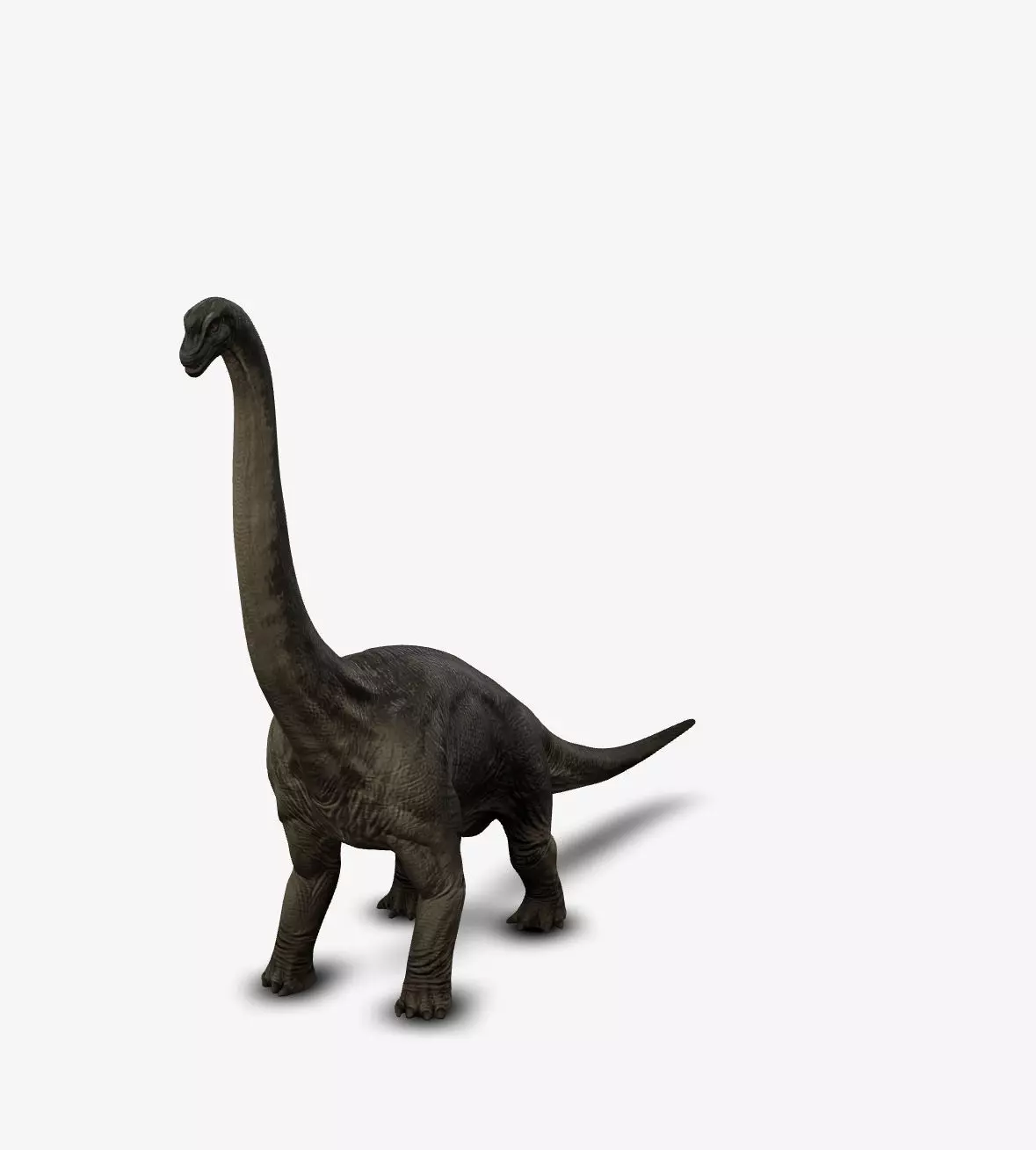 Brachiosaur 3D model_0